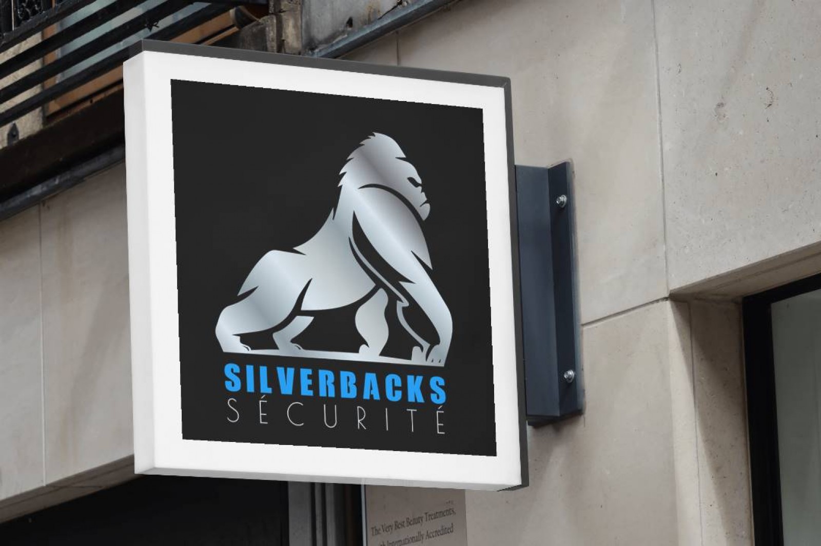 SilverBacks Sécurité