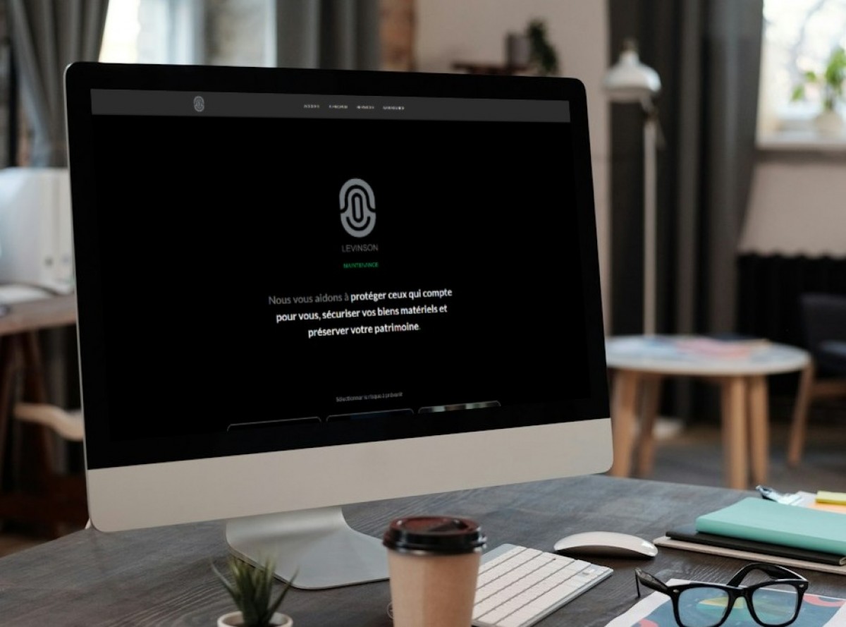 LEVINSON, Entreprise de sécurité, Site Vitrine