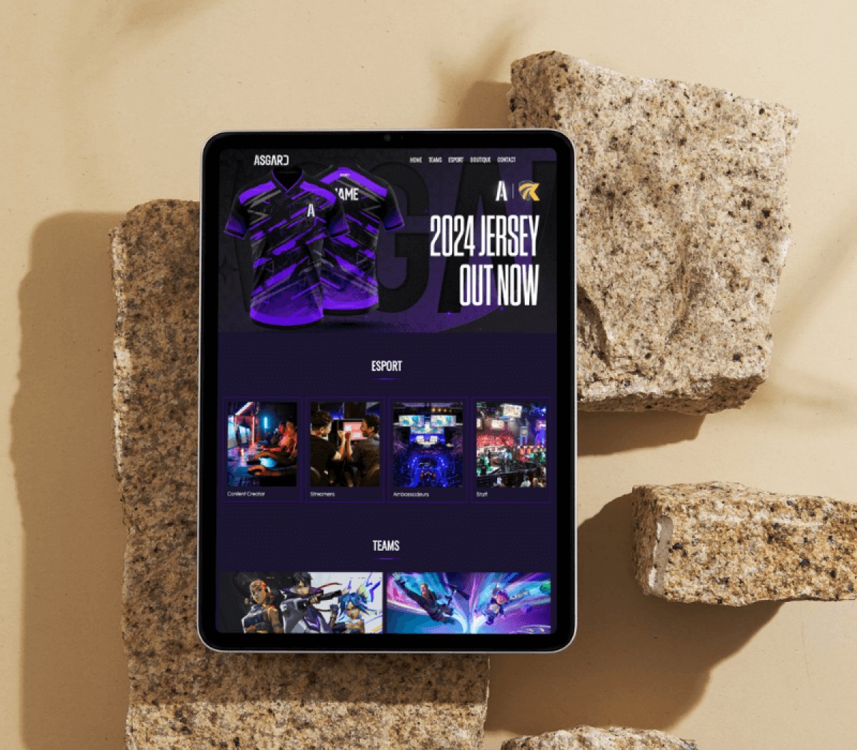 Asgard, team gaming e-sport